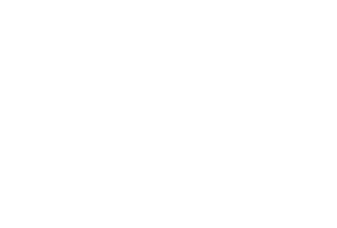 vandegraaflogo blanc